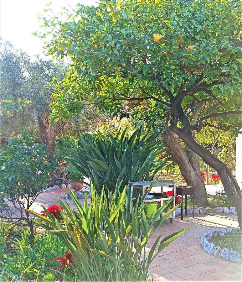 Seafront Apartments Garden House Taormina Exterior foto
